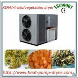 fresh vegetable dryer/vacuum dryer for fruit and vegetable