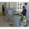 China new technology good effective purslane herbs powder microwave drying and sterilizing equipment #1 small image