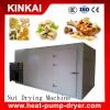 New design heat pump fruit and nuts drying Machine Fruit dryer #1 small image