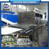 Saving 10% energy fruit and vegetable drying equipment