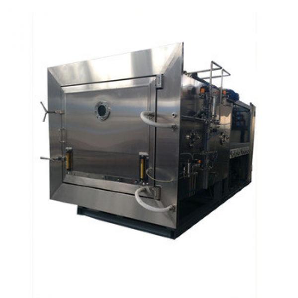 Custom Mulit-Functin Custom Fish Mini Freeze Dryer #1 image